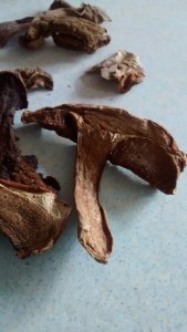 IMG_20150704_130013474