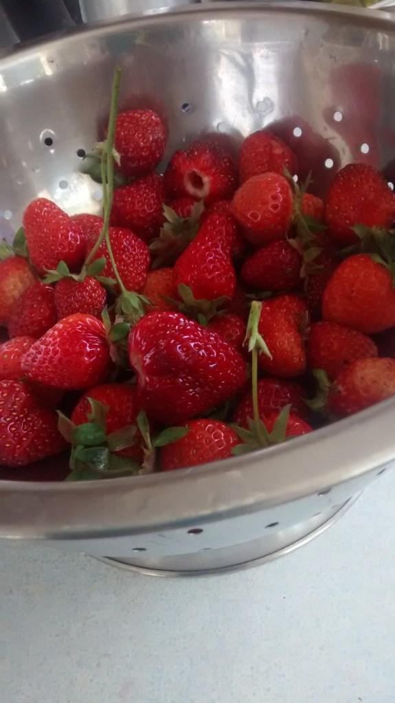 IMG_20150710_131943563