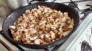 IMG_20150718_151816584_HDR