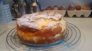 IMG_20150720_210451582(1)