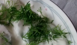 IMG_20150804_135831841