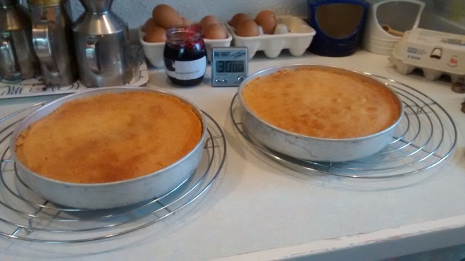 IMG_20150804_180730655