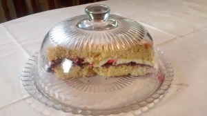 IMG_20150805_065802235