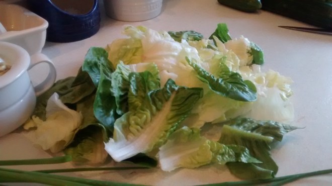 IMG_20150808_173032852