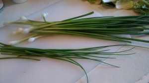 IMG_20150808_173117488(1)