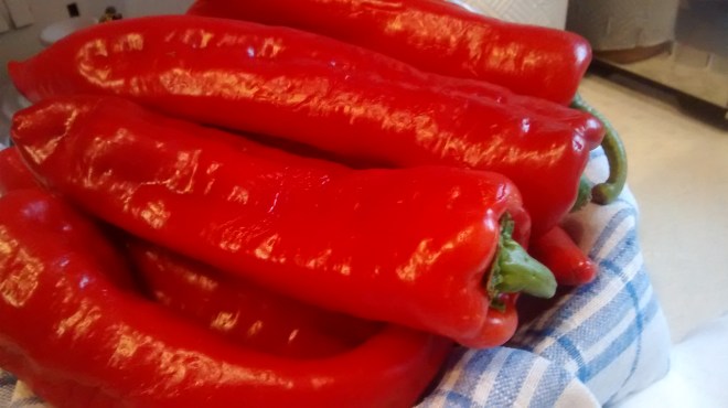 IMG_20150819_064345546