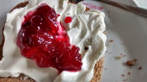 IMG_20150822_103711426_HDR