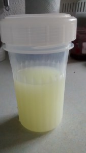 IMG_20150822_104418597