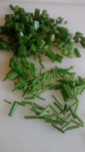 IMG_20150828_124157431