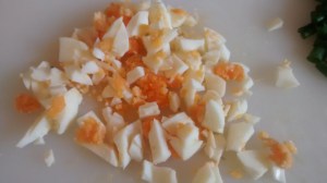 IMG_20150828_124410565