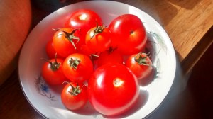 IMG_20150910_124432805_HDR