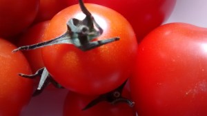 IMG_20150910_124500132