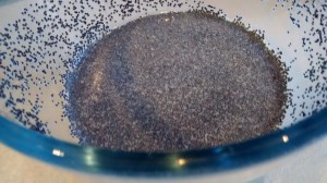 IMG_20151124_133153136