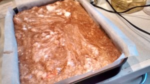 IMG_20151130_134205301_HDR