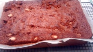 IMG_20151130_200430576