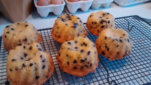 IMG_20160111_150948880