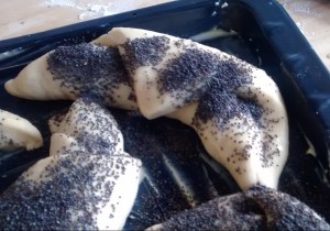 IMG_20160222_152724852