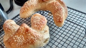 IMG_20160222_154450678_HDR