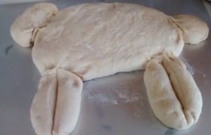 IMG_20160228_105018714(1)