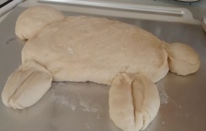 IMG_20160228_105157040