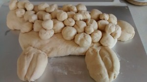 IMG_20160228_105821648