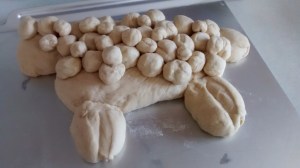 IMG_20160228_105830553