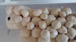 IMG_20160228_110236026