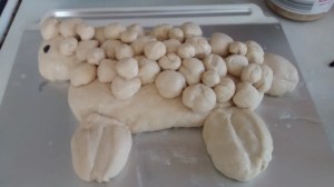 IMG_20160228_110240522