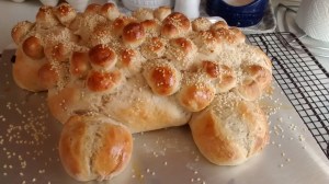 IMG_20160228_113007450