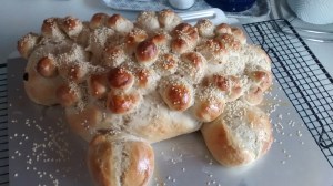 IMG_20160228_113024233