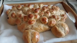 IMG_20160228_122327553