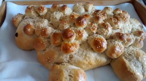 IMG_20160228_122343641