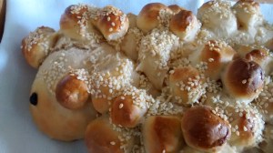 IMG_20160228_122357093