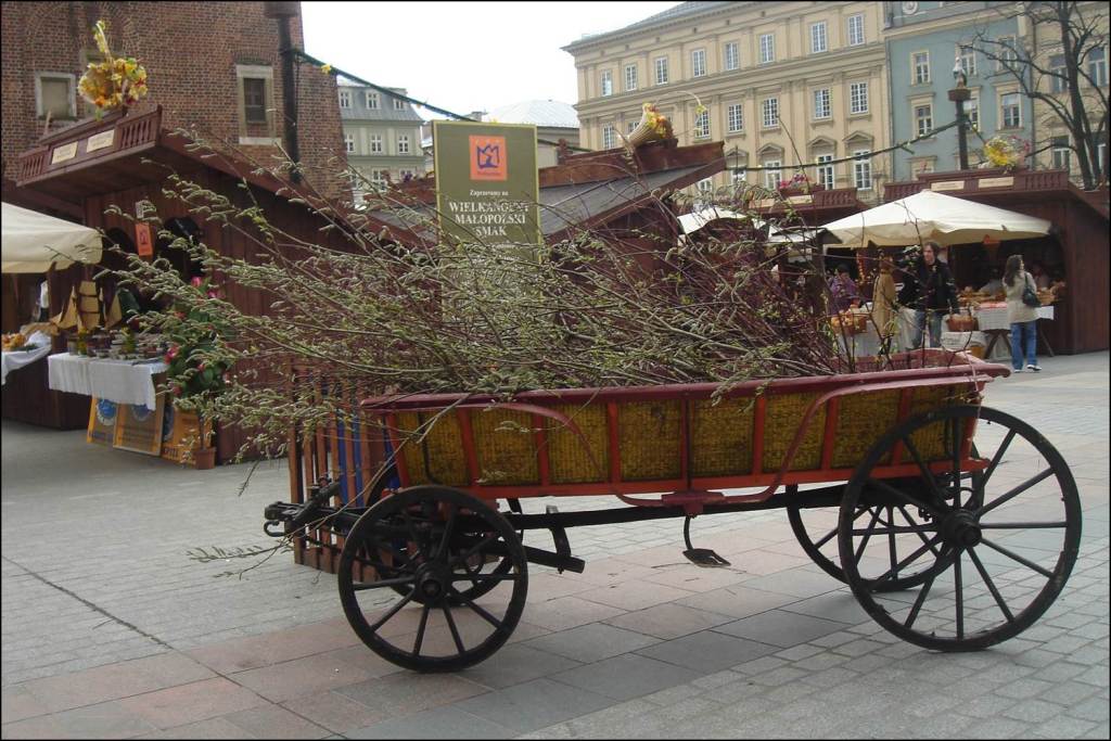 Picture12