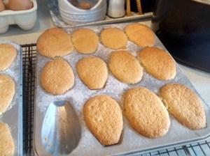 IMG_20160321_154448312_HDR