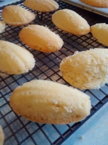 IMG_20160321_154710042