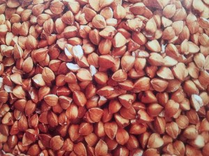 IMG_20160727_120326637