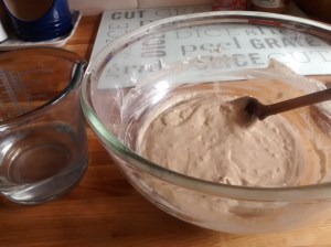 IMG_20160728_092149196