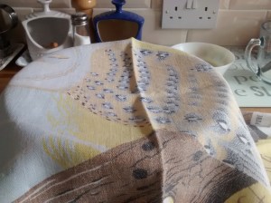 IMG_20160728_092512944