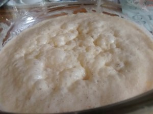 IMG_20160728_105025558